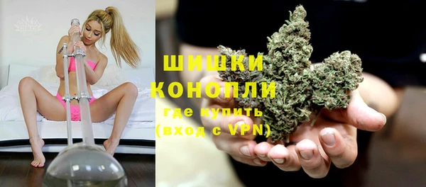 дурь Гусиноозёрск