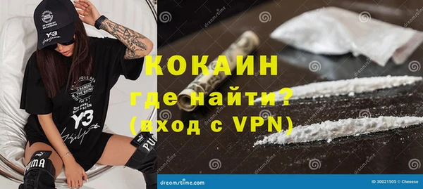 сатива Гусев