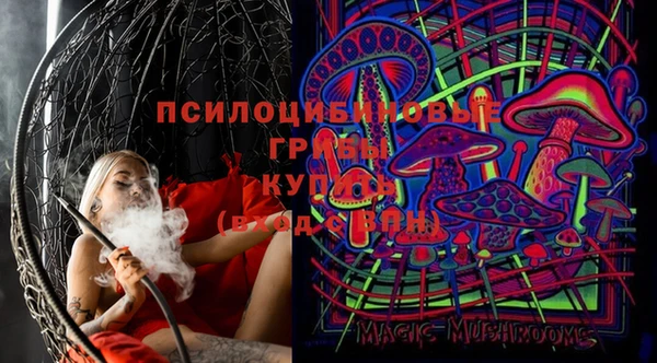соль курить ск Гусь-Хрустальный