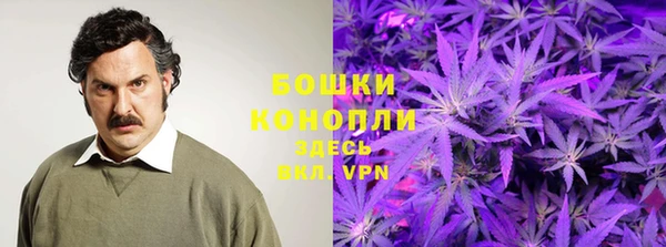 сатива Гусев