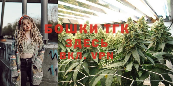 дурь Гусиноозёрск