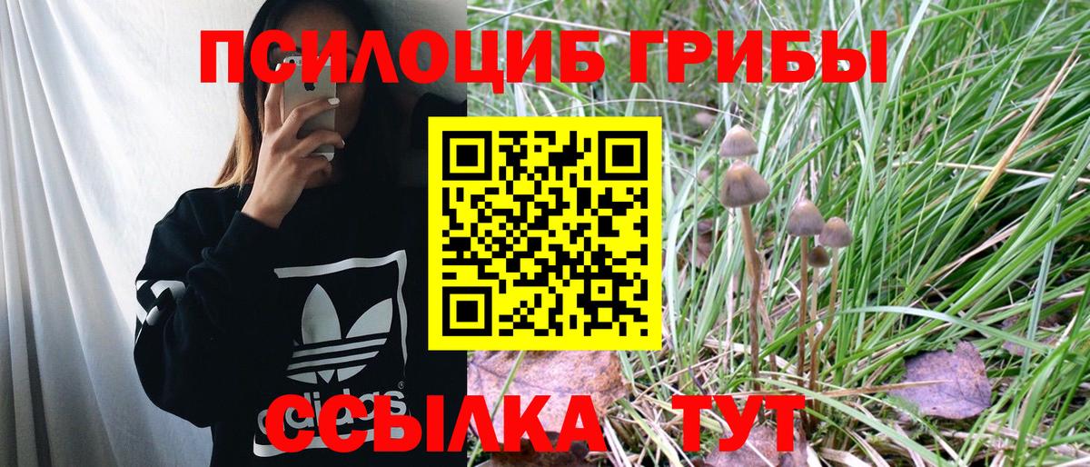 Псилоцибиновые грибы Psilocybine cubensis  Галлюциногенные грибы мицелий  Вязьма 