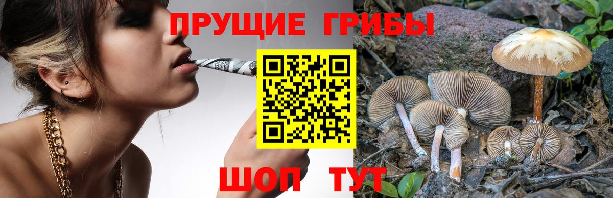 Псилоцибиновые грибы мухоморы  Вход с VPN  Псилоцибиновые грибы Psilocybine cubensis  Вязьма 