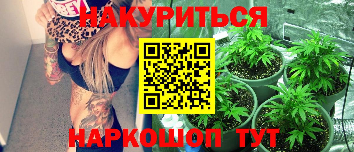 Каннабис ГИДРОПОН  Бошки марихуана план  Каннабис индика  Вязьма  Вход с VPN 